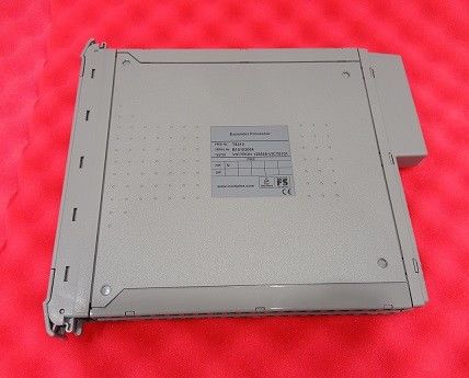 ICS TRIPLEX T8310 Expander Processor